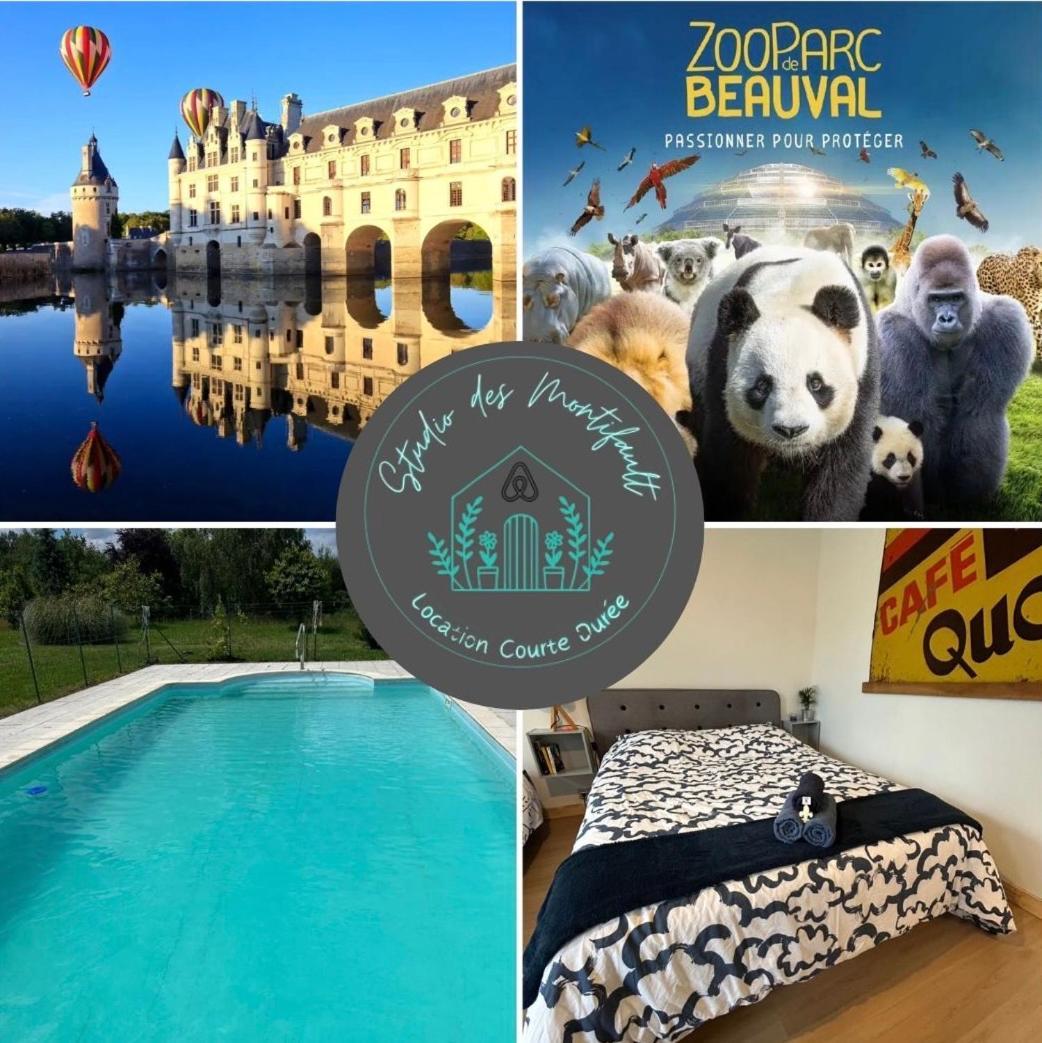 Studio Proche Beauval Et Chateaux De La Loire Francueil Exteriör bild